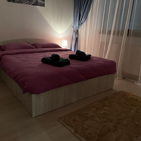D&M Apartaments Iasi Bagian luar foto