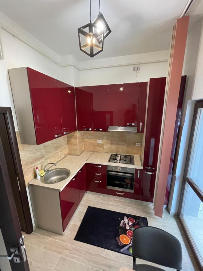 D&M Apartaments Iasi Bagian luar foto