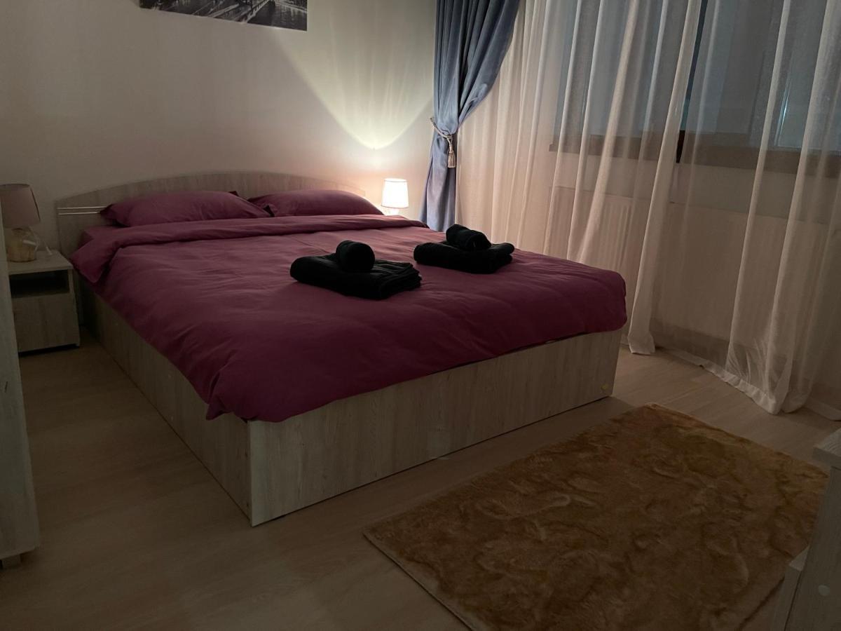 D&M Apartaments Iasi Bagian luar foto